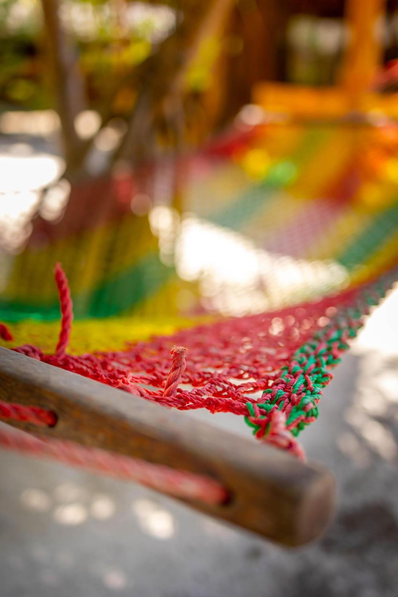 Eden Paradise Michamvi Kae Ngoại thất bức ảnh