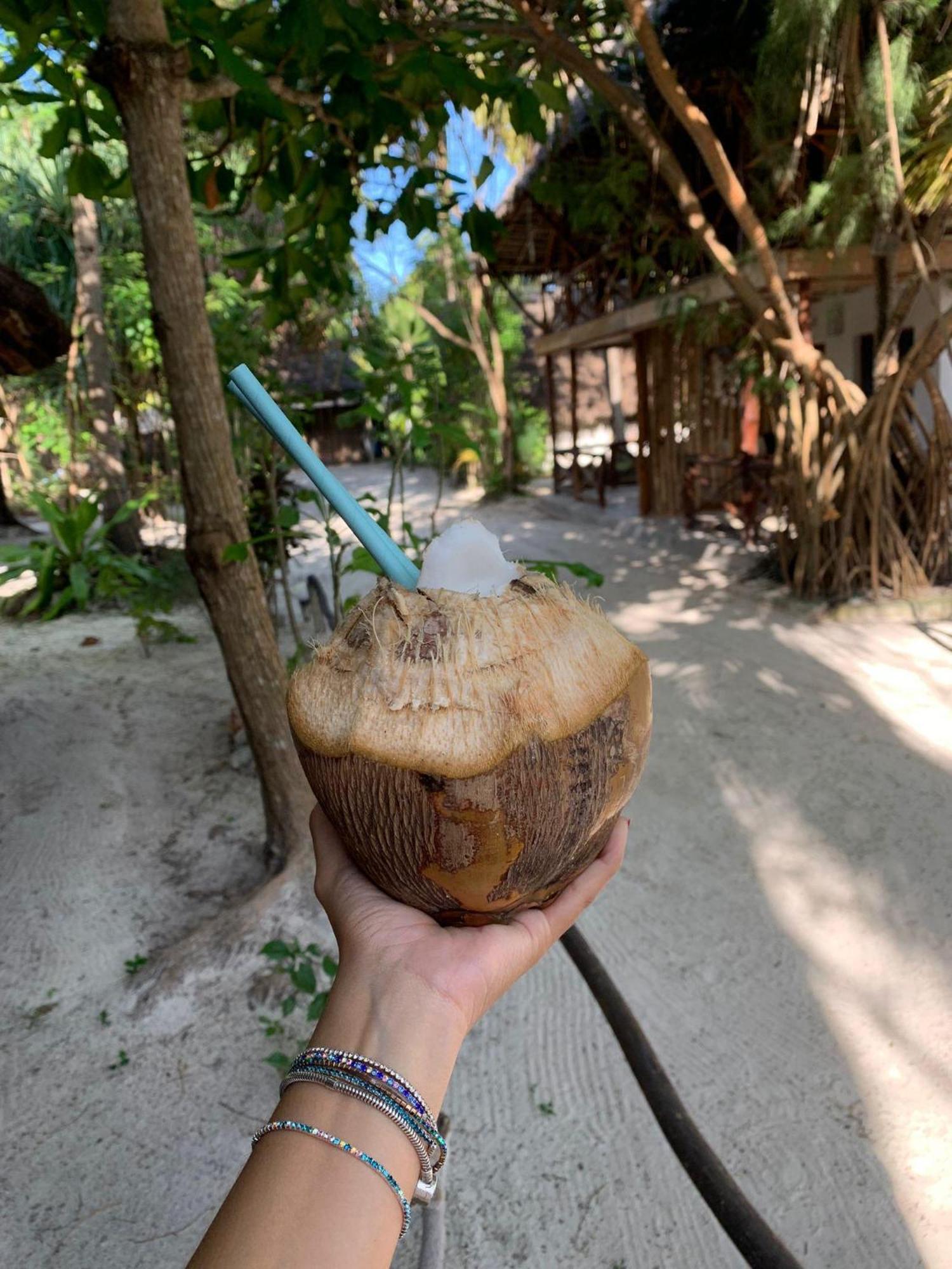 Eden Paradise Michamvi Kae Ngoại thất bức ảnh
